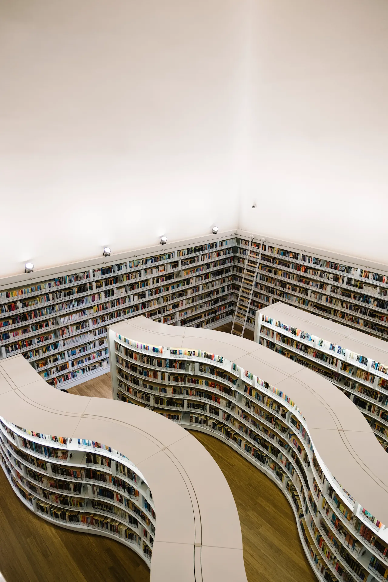 Solo un capítulo más contacto